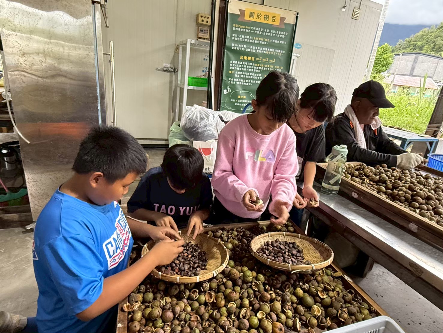 台東一日遊。布拉谷果菜生產合作社 苦茶籽油、祈福手作、樹豆茶包、一次滿足五感體驗！