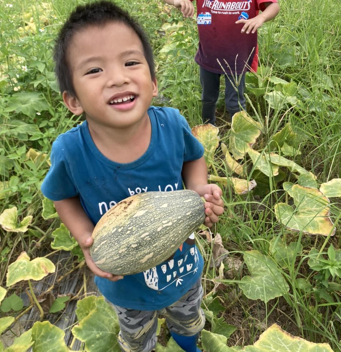 產地鮮送